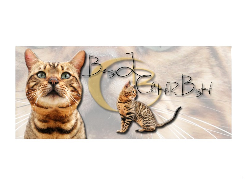 css image slider