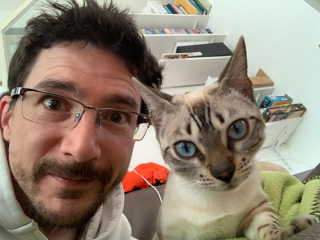 cats