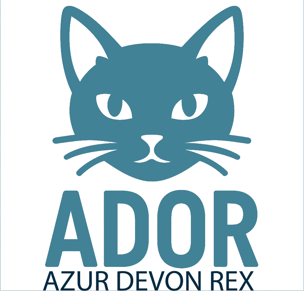 Devon Rex