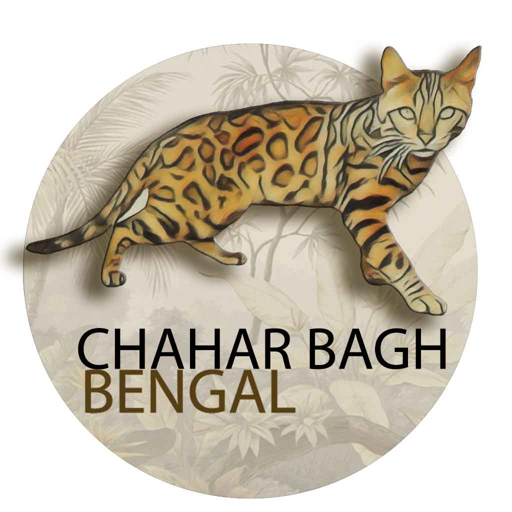 Logo Chahar Bagh Bengal